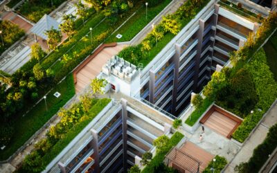 Benefits of Installing a Green Roof for Your Commercial Building